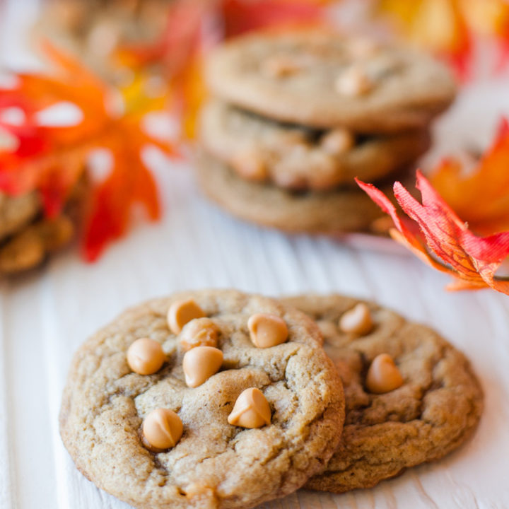 Chewy Pumpkin Spice Cookies with Butterscotch Chips